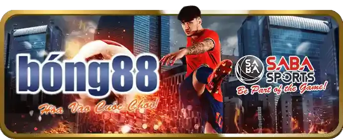 Các phương thức thanh toán an toàn được 33wi hỗ trợ