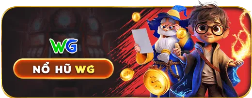Bảo mật 33wi